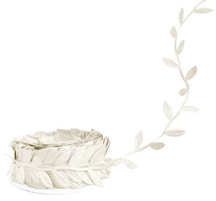 Лента декоративная (2,5 см*10,97 м) Изящные листья, Кремовый, 1 шт.